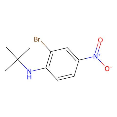 2-溴-N-叔丁基-4-硝基苯胺-西亚试剂有售,2-溴-N-叔丁基-4-硝基苯胺分子式,2-溴-N-叔丁基-4-硝基苯胺价格,西亚试剂有各种化学试剂,生物试剂,分析试剂,材料试剂,高端化学,耗材,实验室试剂,科研试剂,色谱耗材www.xiyashiji.com