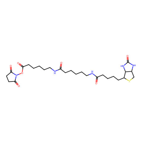 N-[6-(生物素氨基)己酰基]-6-氨基己酸N-琥珀酰亚胺酯-西亚试剂有售,N-[6-(生物素氨基)己酰基]-6-氨基己酸N-琥珀酰亚胺酯分子式,N-[6-(生物素氨基)己酰基]-6-氨基己酸N-琥珀酰亚胺酯价格,西亚试剂有各种化学试剂,生物试剂,分析试剂,材料试剂,高端化学,耗材,实验室试剂,科研试剂,色谱耗材www.xiyashiji.com