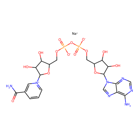 β-烟酰胺腺嘌呤二核苷酸钠盐-西亚试剂有售,β-烟酰胺腺嘌呤二核苷酸钠盐分子式,β-烟酰胺腺嘌呤二核苷酸钠盐价格,西亚试剂有各种化学试剂,生物试剂,分析试剂,材料试剂,高端化学,耗材,实验室试剂,科研试剂,色谱耗材www.xiyashiji.com