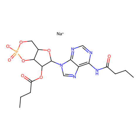 N6,2′-O-二丁酰基腺苷3′,5′-环磷酸-西亚试剂有售,N6,2′-O-二丁酰基腺苷3′,5′-环磷酸分子式,N6,2′-O-二丁酰基腺苷3′,5′-环磷酸价格,西亚试剂有各种化学试剂,生物试剂,分析试剂,材料试剂,高端化学,耗材,实验室试剂,科研试剂,色谱耗材www.xiyashiji.com