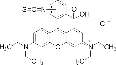 异硫氰酸罗丹明B-西亚试剂有售,异硫氰酸罗丹明B分子式,异硫氰酸罗丹明B价格,西亚试剂有各种化学试剂,生物试剂,分析试剂,材料试剂,高端化学,耗材,实验室试剂,科研试剂,色谱耗材www.xiyashiji.com