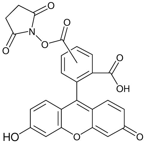 5(6)-羧基荧光素琥珀酰亚胺酯-西亚试剂有售,5(6)-羧基荧光素琥珀酰亚胺酯分子式,5(6)-羧基荧光素琥珀酰亚胺酯价格,西亚试剂有各种化学试剂,生物试剂,分析试剂,材料试剂,高端化学,耗材,实验室试剂,科研试剂,色谱耗材www.xiyashiji.com