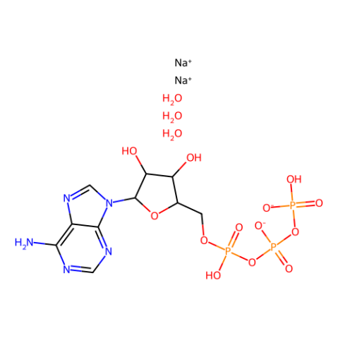 三磷酸腺苷二钠-西亚试剂有售,三磷酸腺苷二钠分子式,三磷酸腺苷二钠价格,西亚试剂有各种化学试剂,生物试剂,分析试剂,材料试剂,高端化学,耗材,实验室试剂,科研试剂,色谱耗材www.xiyashiji.com