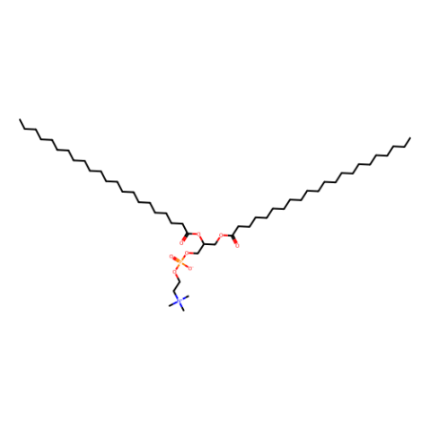 1,2-双二十二碳酰基-Sn-甘油-3-磷酰胆碱-西亚试剂有售,1,2-双二十二碳酰基-Sn-甘油-3-磷酰胆碱分子式,1,2-双二十二碳酰基-Sn-甘油-3-磷酰胆碱价格,西亚试剂有各种化学试剂,生物试剂,分析试剂,材料试剂,高端化学,耗材,实验室试剂,科研试剂,色谱耗材www.xiyashiji.com