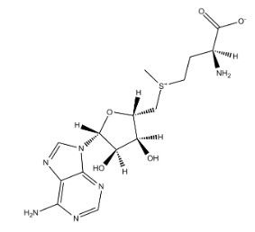 S-腺苷-L-蛋氨酸-西亚试剂有售,S-腺苷-L-蛋氨酸分子式,S-腺苷-L-蛋氨酸价格,西亚试剂有各种化学试剂,生物试剂,分析试剂,材料试剂,高端化学,耗材,实验室试剂,科研试剂,色谱耗材www.xiyashiji.com