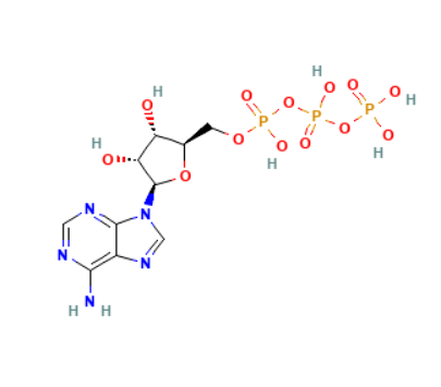 5-三磷酸腺苷-西亚试剂有售,5-三磷酸腺苷分子式,5-三磷酸腺苷价格,西亚试剂有各种化学试剂,生物试剂,分析试剂,材料试剂,高端化学,耗材,实验室试剂,科研试剂,色谱耗材www.xiyashiji.com