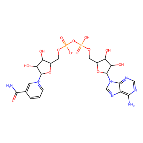 烟酰胺腺嘌呤双核苷酸-西亚试剂有售,烟酰胺腺嘌呤双核苷酸分子式,烟酰胺腺嘌呤双核苷酸价格,西亚试剂有各种化学试剂,生物试剂,分析试剂,材料试剂,高端化学,耗材,实验室试剂,科研试剂,色谱耗材www.xiyashiji.com